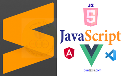 JavaScript