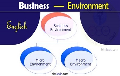 English for Business Environment