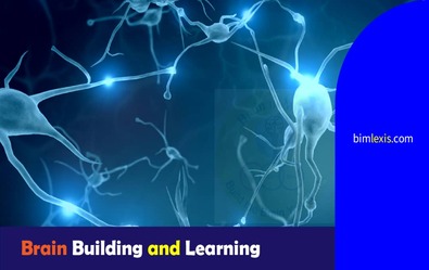 Brain Building and Learning