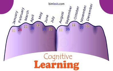 Cognitive Learning Strategies