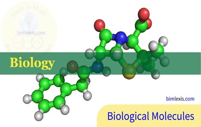 Biological Molecules
