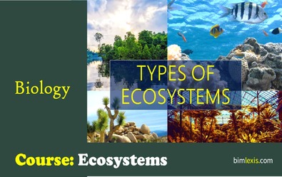 Ecosystems