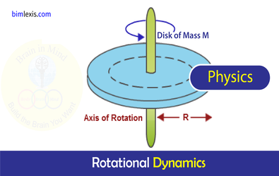 Rotational Dynamics