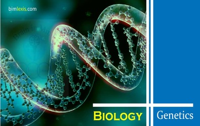 Genetics