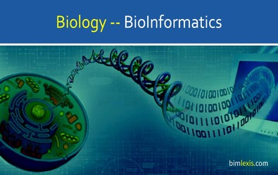 Bioinformatics