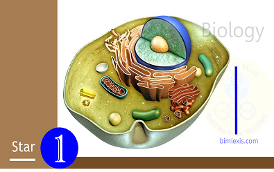 Biology